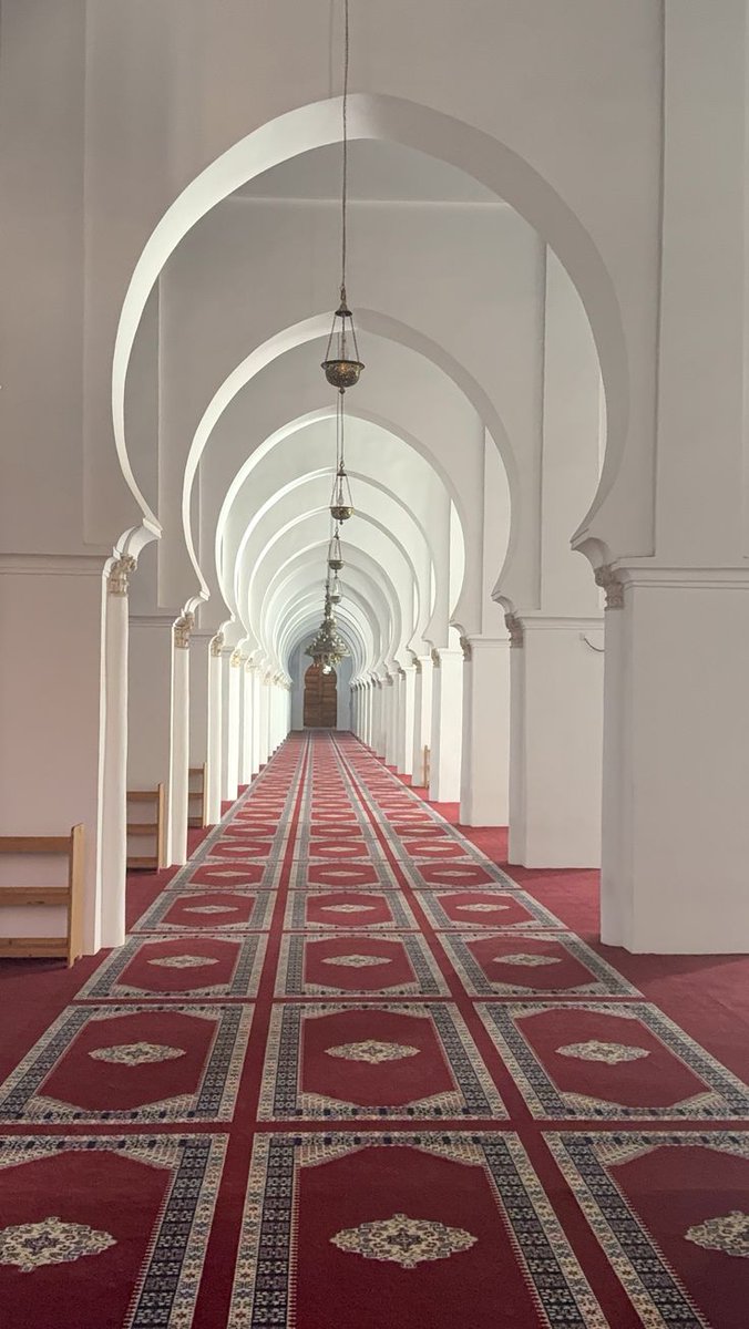 The Andalusian Edit tweet media