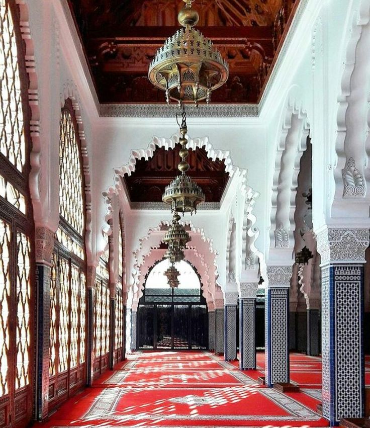 The Andalusian Edit tweet media