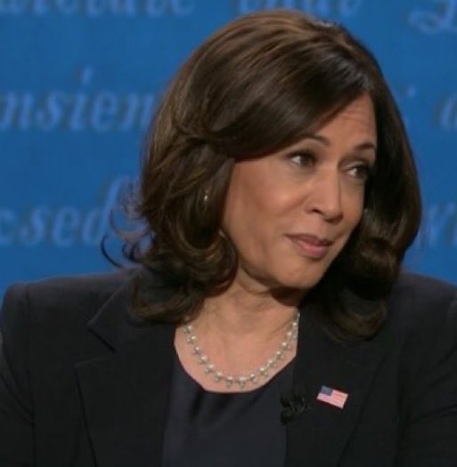 Former Vice President Kamala Harris warned the American people about this lawless administration.