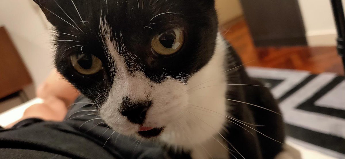 ᴋᴏʀɪᴀɴᴅ’ʀ tweet media