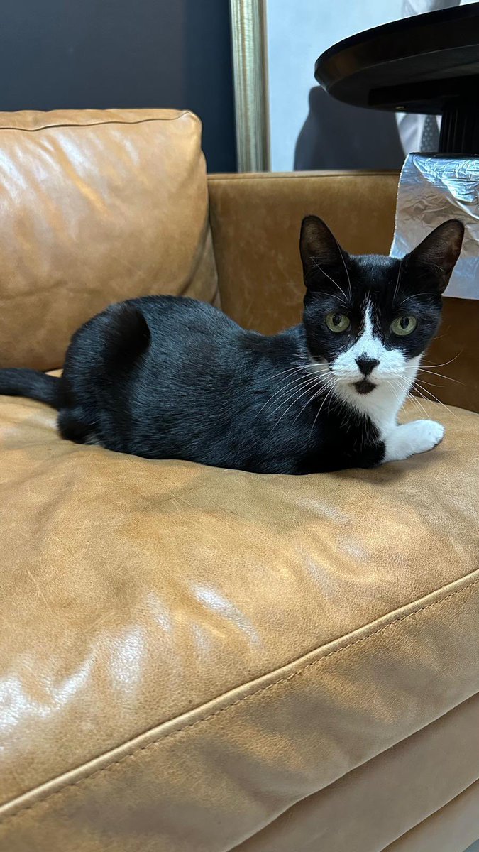 ᴋᴏʀɪᴀɴᴅ’ʀ tweet media