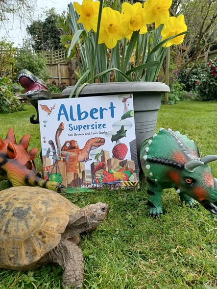 AlbertTortoise's tweet image. Real #ALBERTthetortoise thought it ROARsome when #Waterstones #bookshop made our #dinosaur #story ALBERT SUPERSIZE their Picture Book of the Month. See what happens! #AvailableNow 9 #ALBERT #picturebooks, 3 #BoardBooks &amp;amp; #ActivityBook AlbertTortoise.com
#tortoise