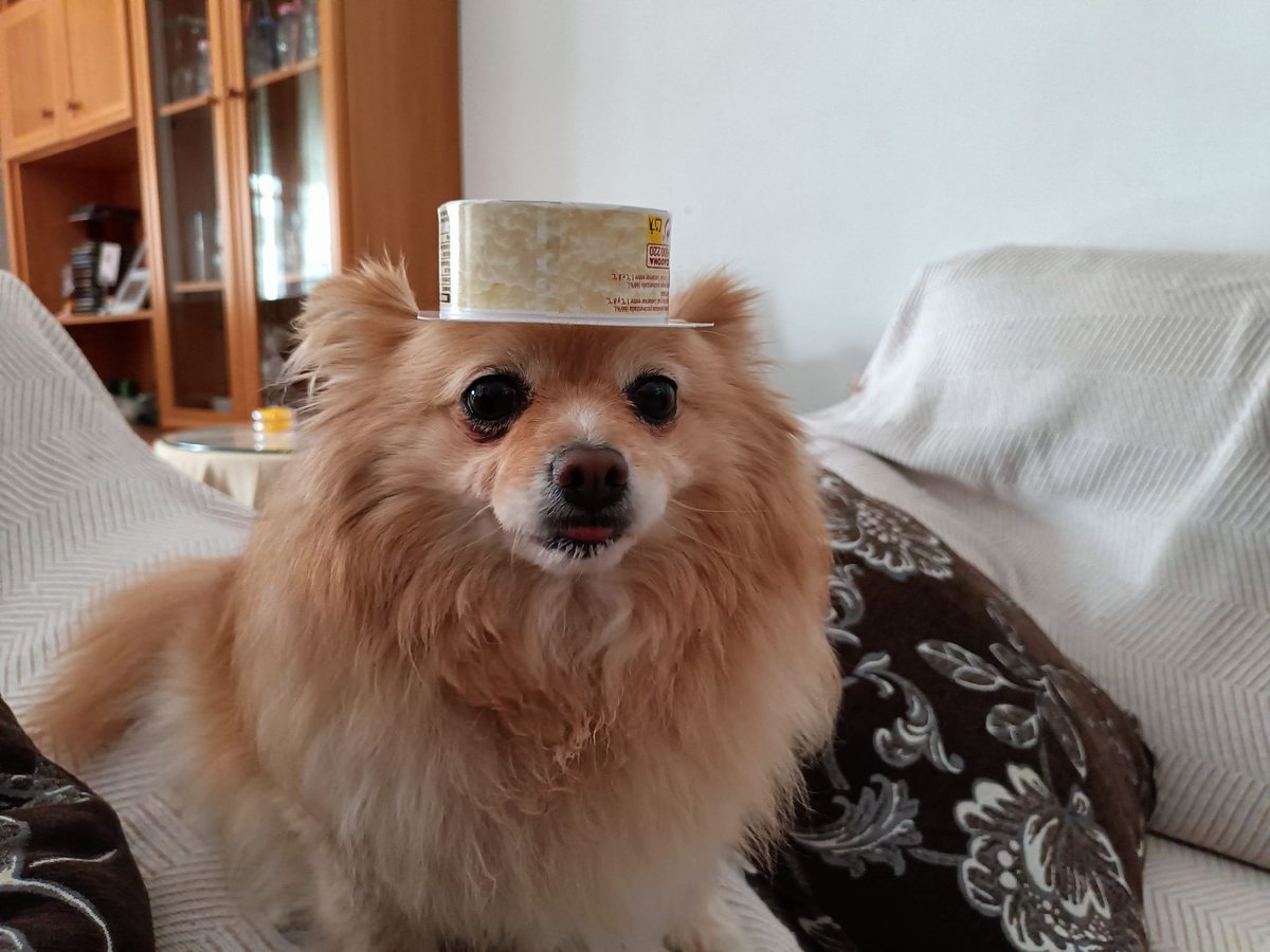 Splat 💫 tweet media