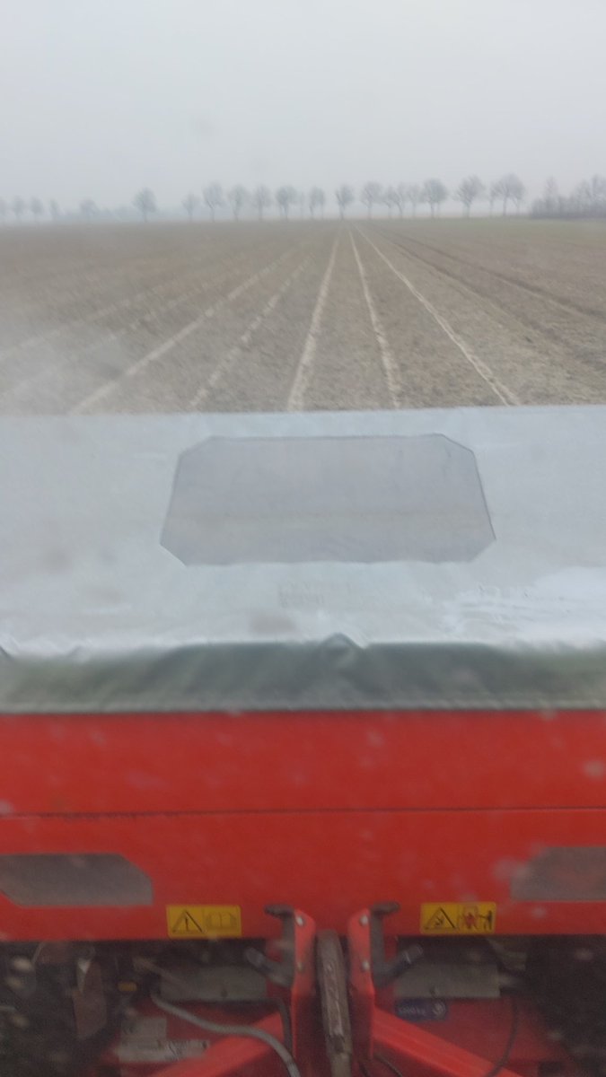 TheoJansen77's tweet image. Nog wat te eten erbij! #tulpen