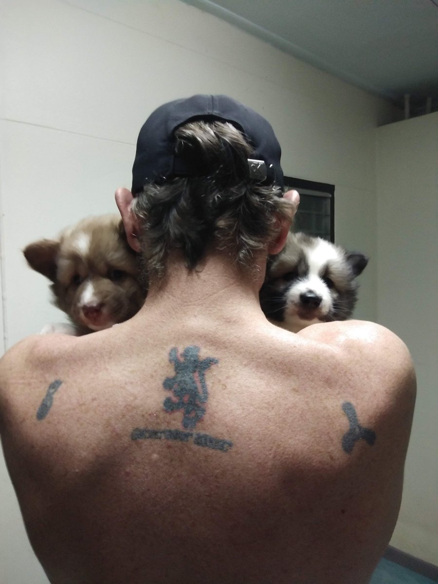 🦝RAC FM Spaces🦝 racfm.org tweet media