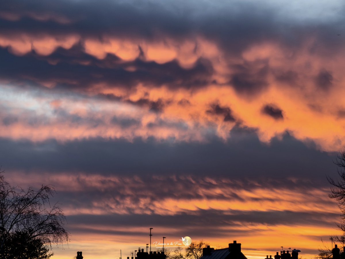 VeronicaJoPo's tweet image. A very fiery sky at sunset today over Ely, Cambridgeshire #sunset #firesky #fiery #riverside #clouds