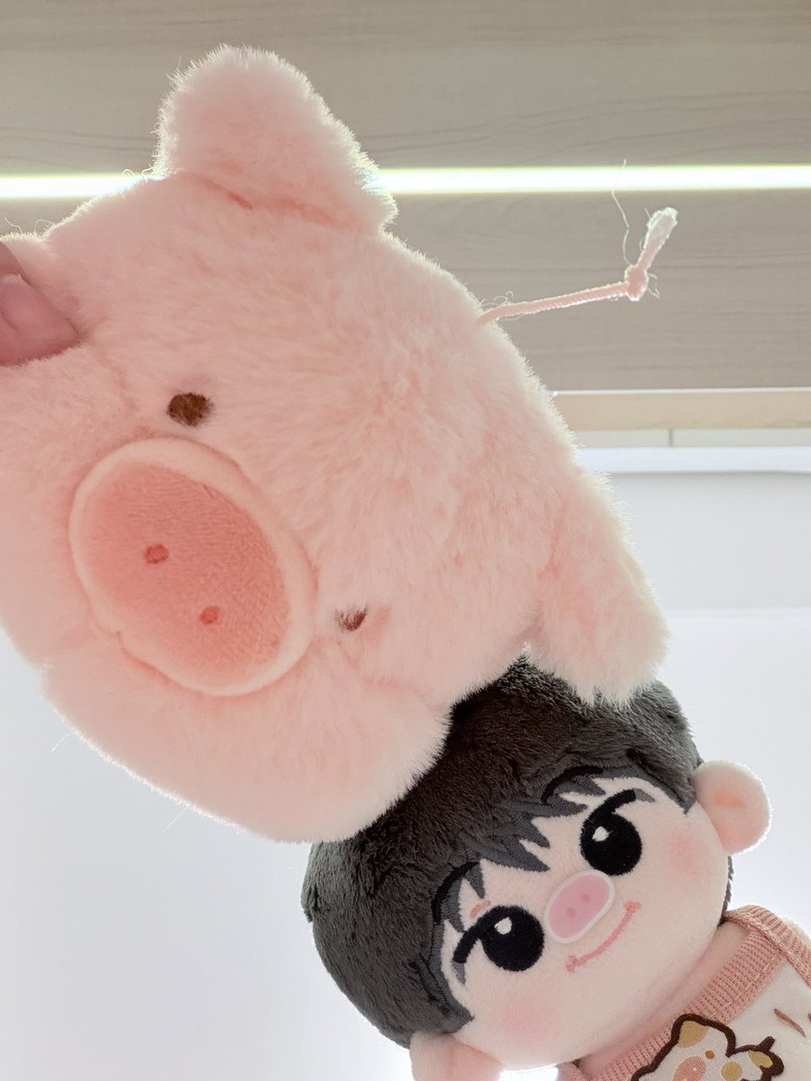 🐷🫓激かわ．．．