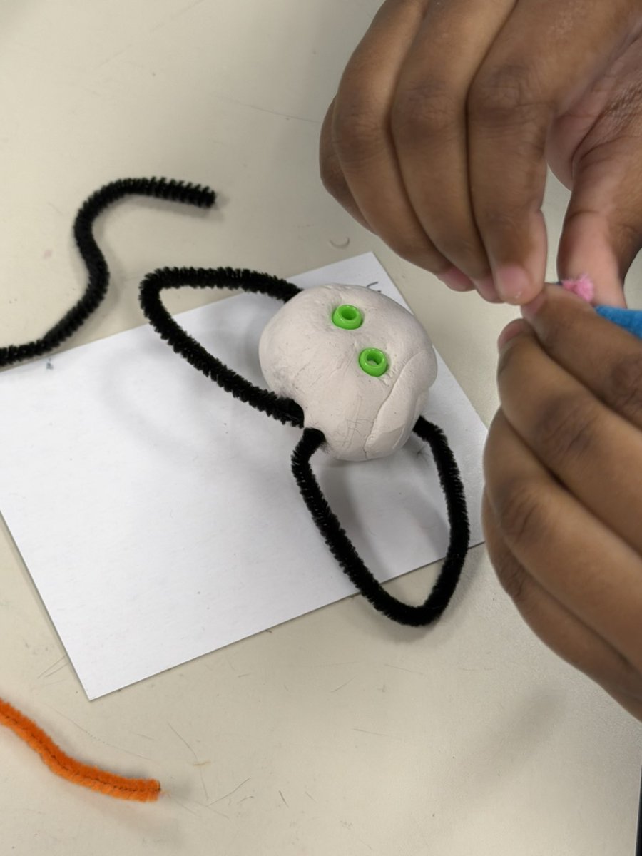 SFE ARTISTS tweet media