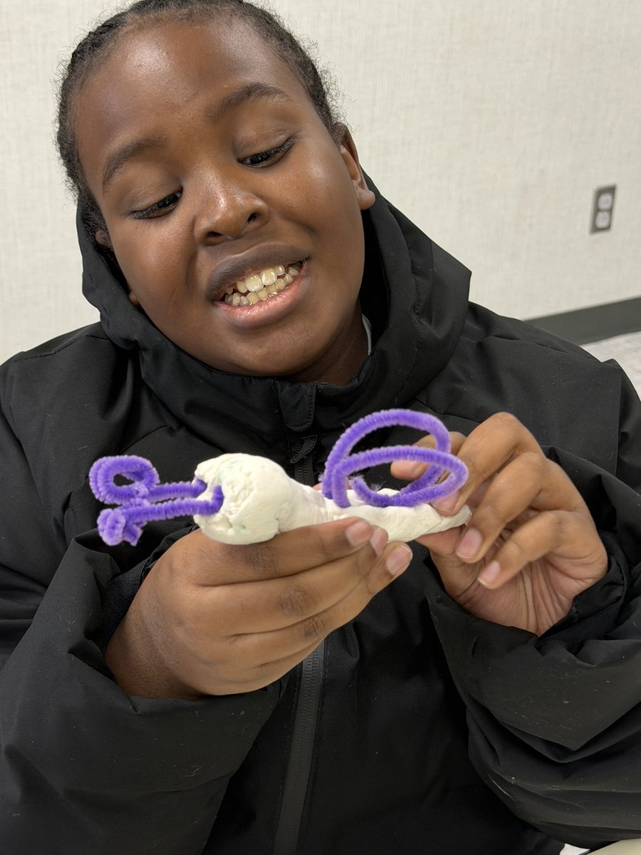 SFE ARTISTS tweet media