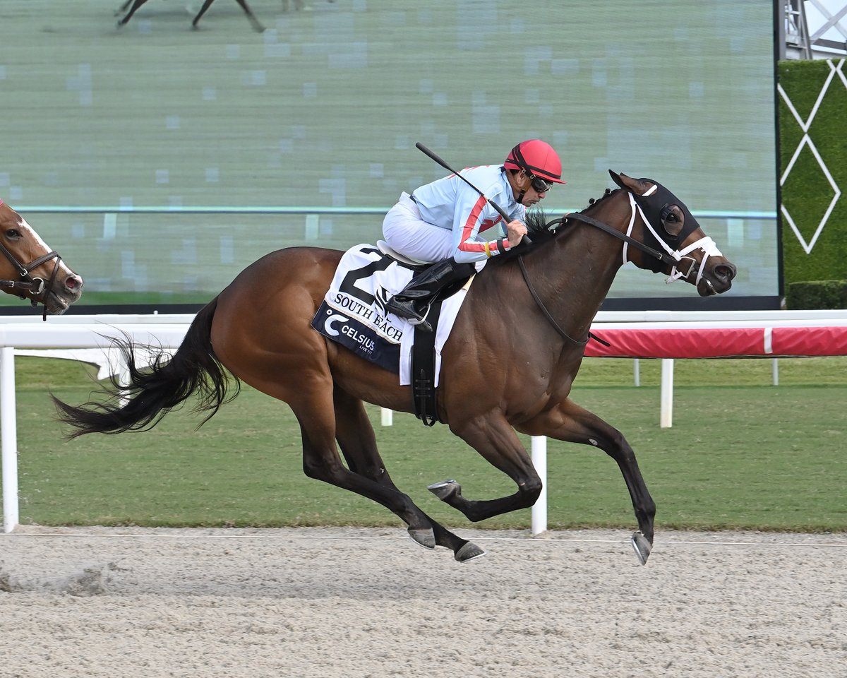 Pegasus World Cup tweet media