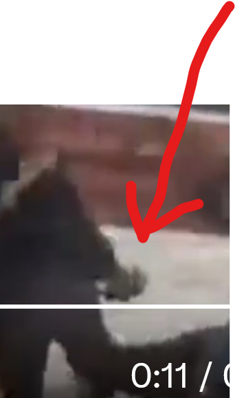 ᓍᗷᒚᘿᑢᖶᓰᐺᘿ ᖇᘿᗩᒪᓰᖶᖻ tweet media