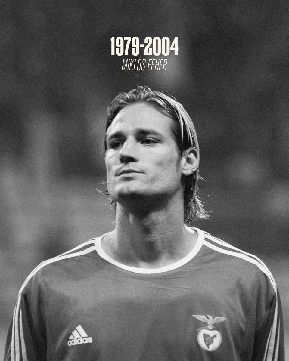 Miklós Fehér, para sempre na nossa memória 🕊️
