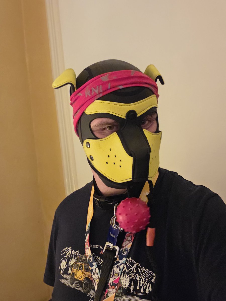 Pup Bonkers tweet media