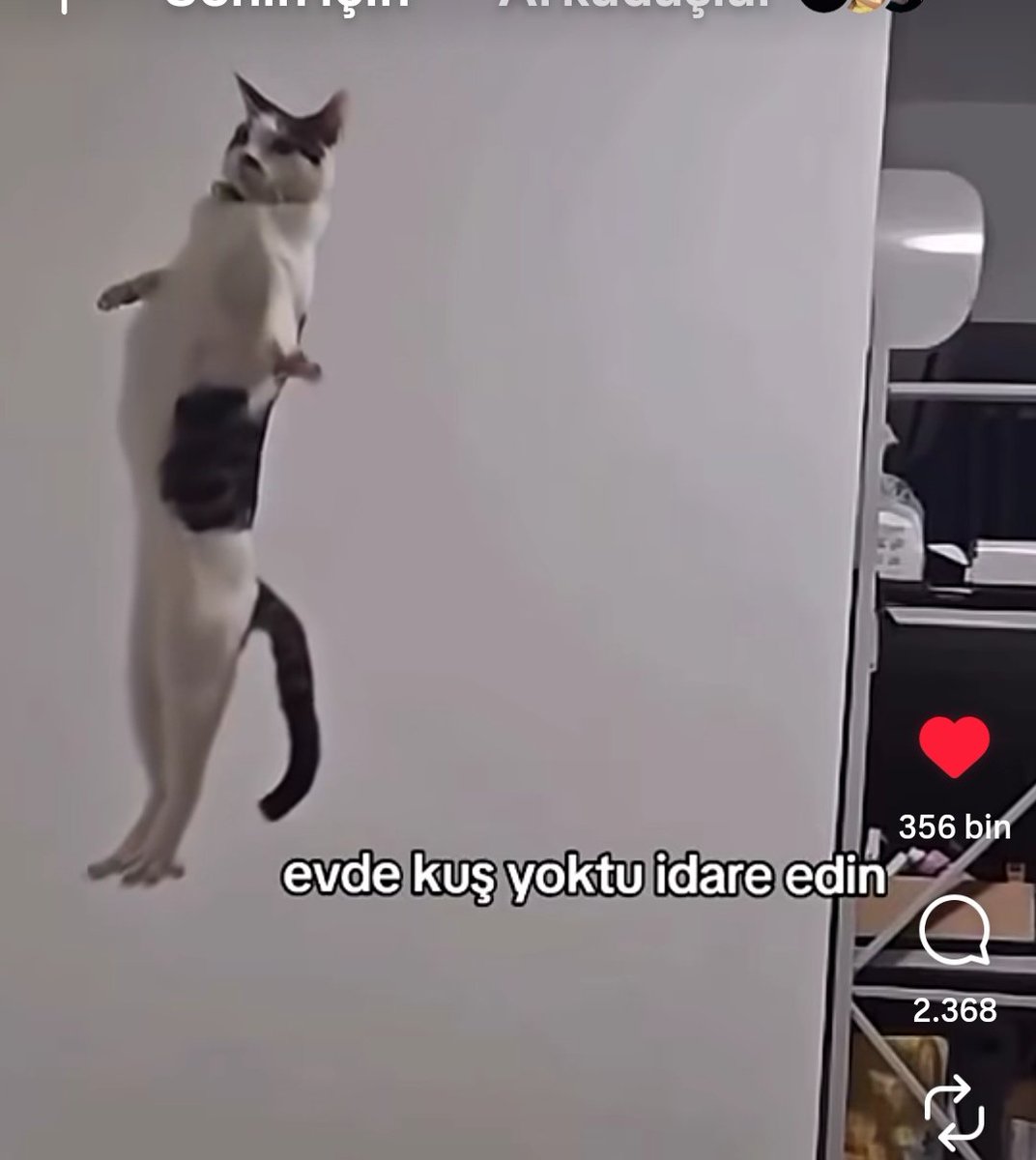 Hayatımda daha komik çok az şey gördüm hahshannsksj