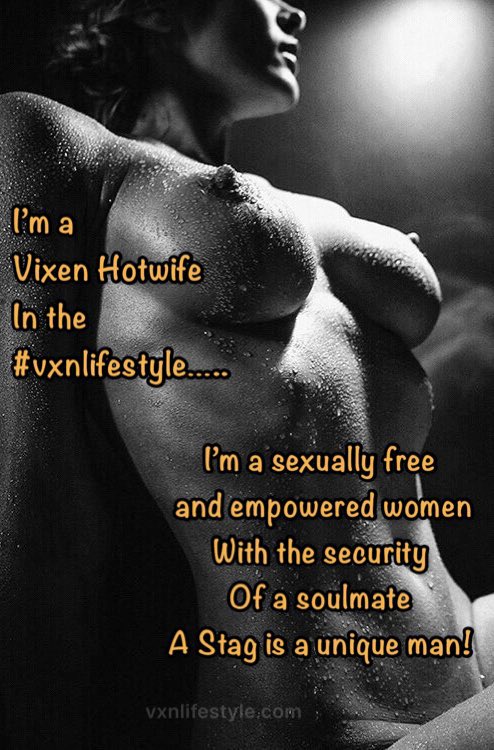 VXN Lifestyle tweet media