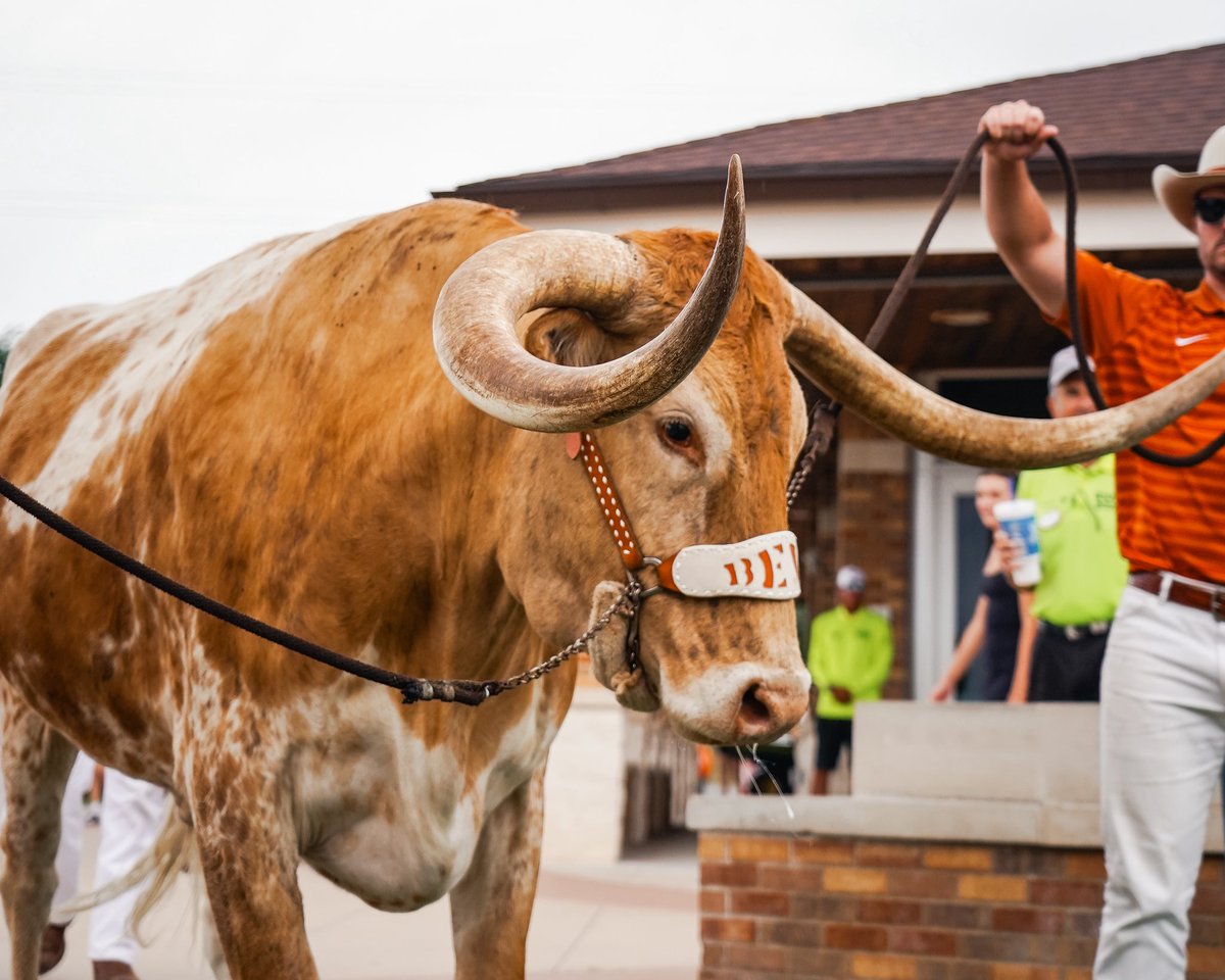 TexasBeachVB's tweet photo. happy birthday to our guy @texasmascot🤘🫶

#HookEm https://t.co/11J2aGivky