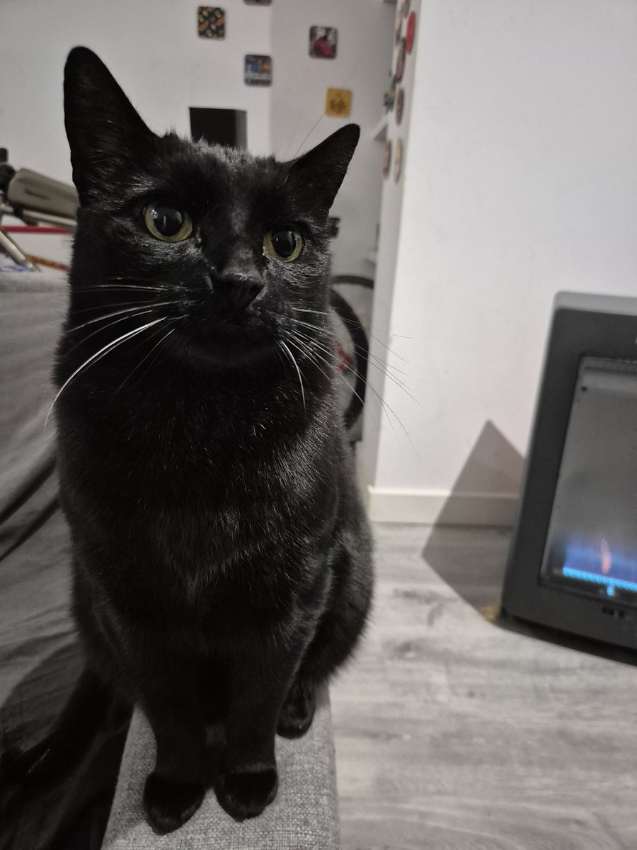 Descomplicando AWS tweet media