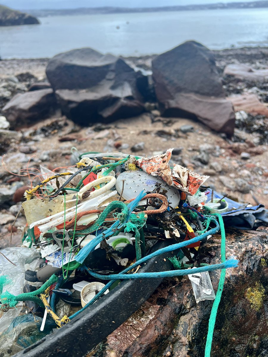 Me&ThePlasticSea (@MePlasticSea) / Posts / X