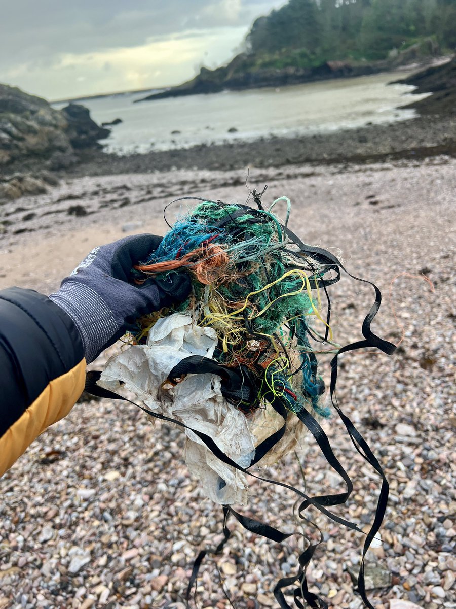 Me&ThePlasticSea (@MePlasticSea) / Posts / X