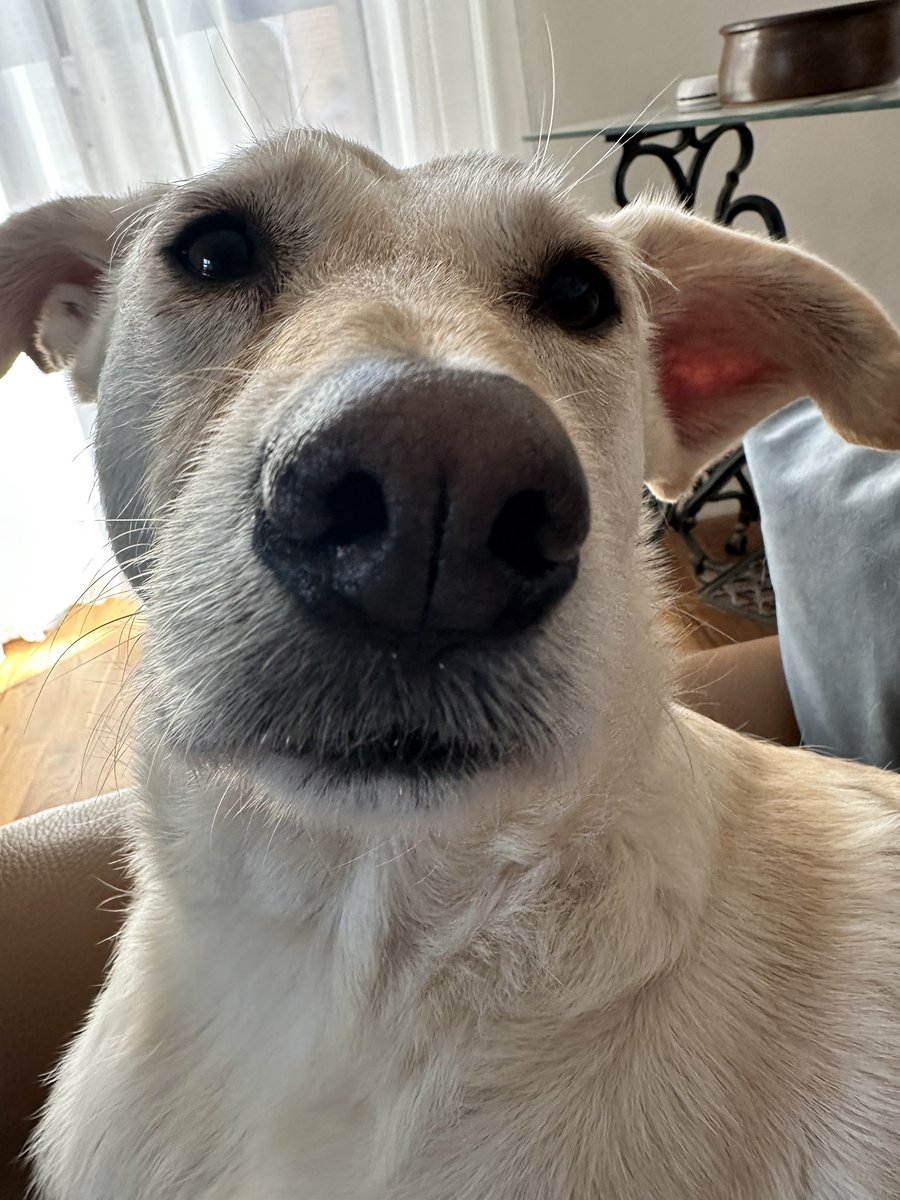 KölschRudelAlaaf🥳 tweet media