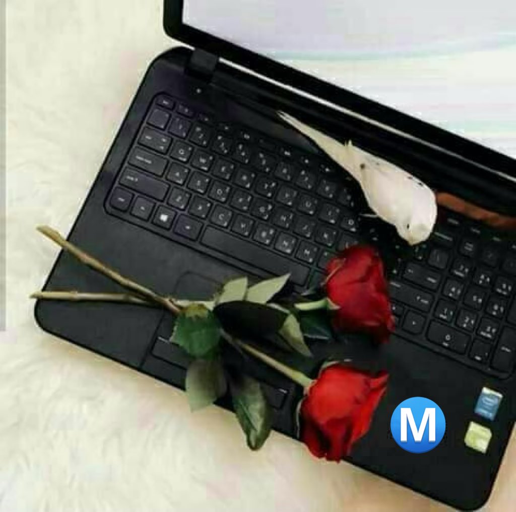 #همسه_مسائيه 
گم هو جميِل
 أن 
يگون لديك صديق تستطيع
 أن
 تُثرثر أمامهُ بگُل ما بداخلك
وأنت
 مُوقن أنك 
لن تسقط من عيِنهُ
آو
تفقد إحترامهُ لك 
#تأملها