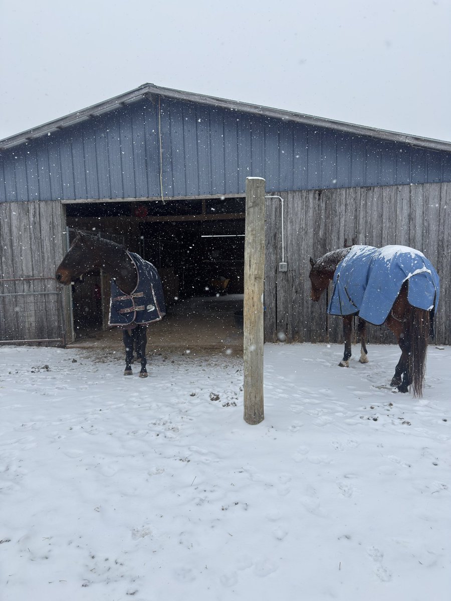 Snow day fit <a href="/BoodaCheese/">BoodaCheese</a>