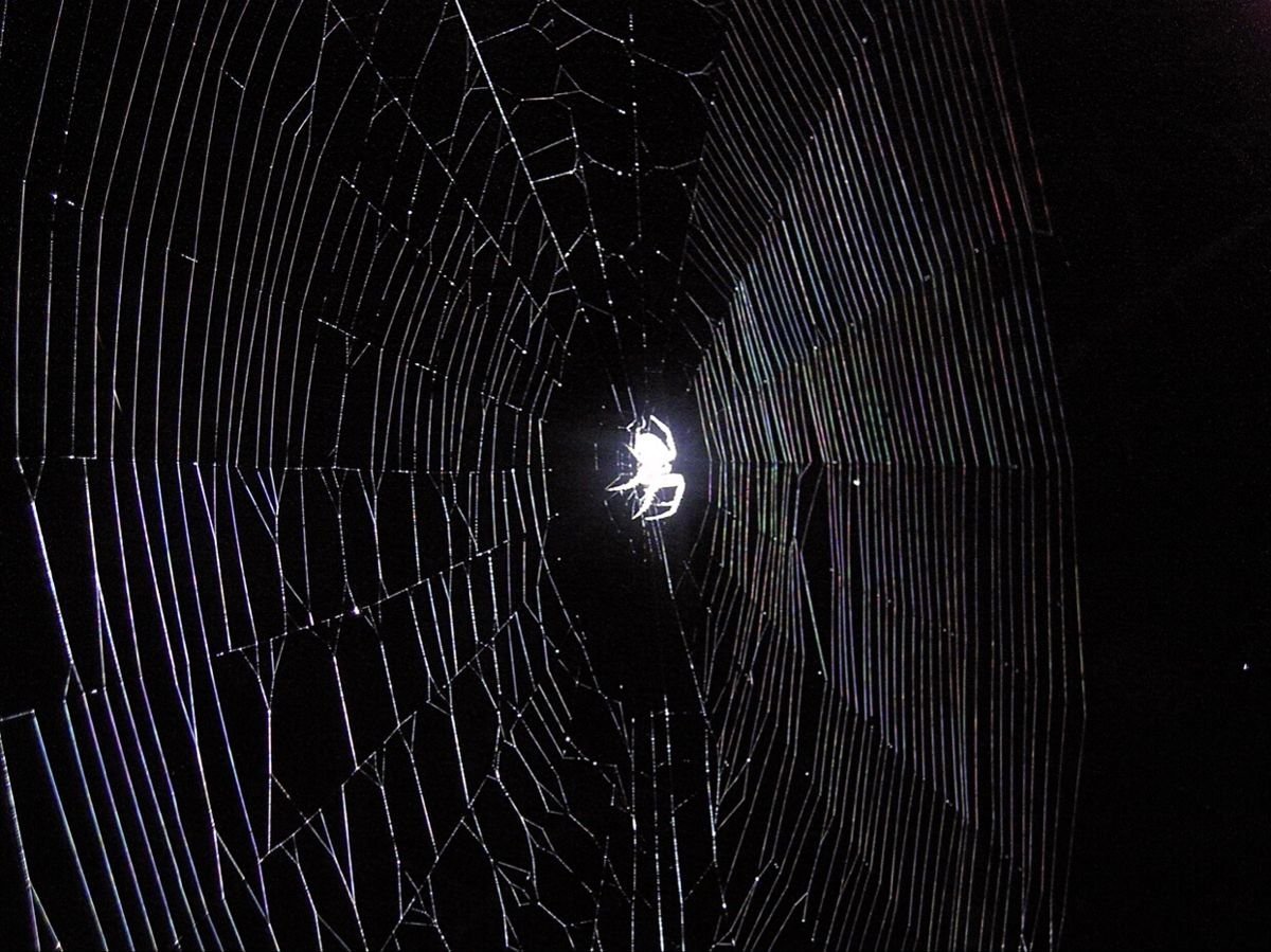 Satyanegara 、T ៹ tweet media