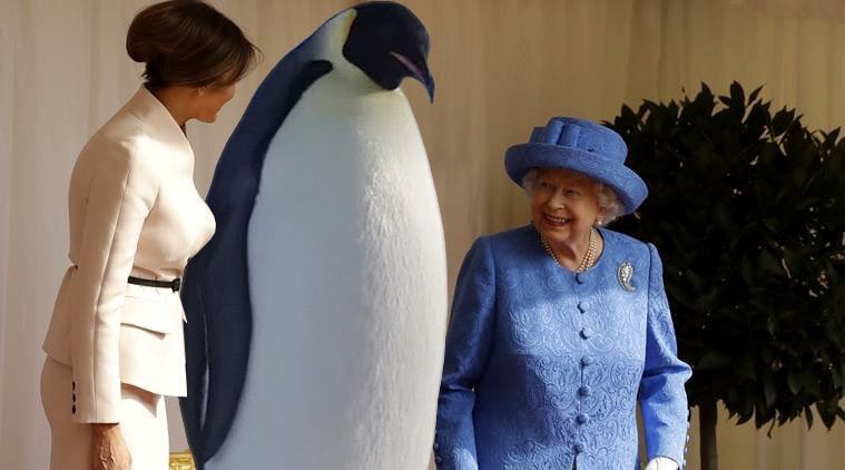 Remember when President-elect Trump (1) was being portrayed as a king penguin? #penguingate