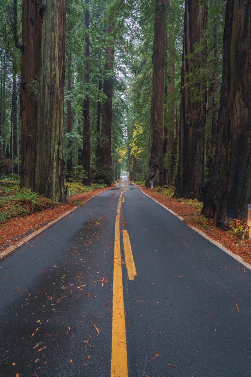 spncrmr's tweet photo. Humboldt County, CA https://t.co/9AIPxvbaZa
