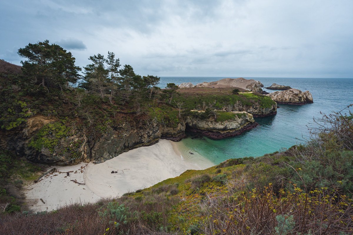 spncrmr's tweet photo. Point Lobos, CA https://t.co/3VV0CkRRpp