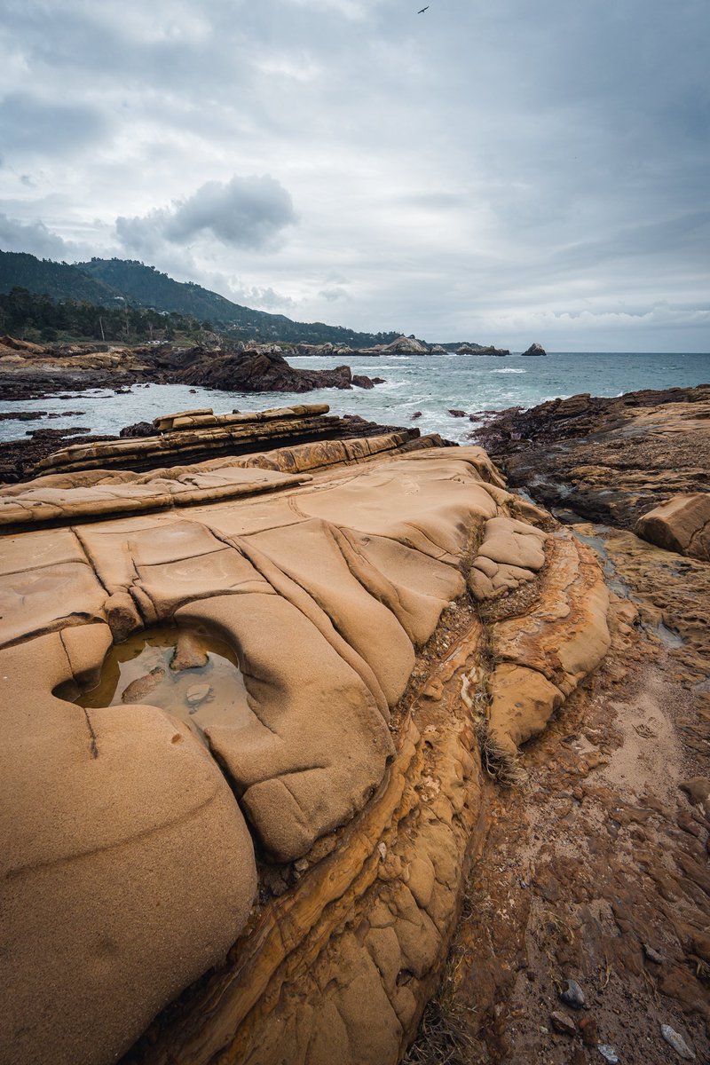 spncrmr's tweet photo. Point Lobos, CA https://t.co/3VV0CkRRpp