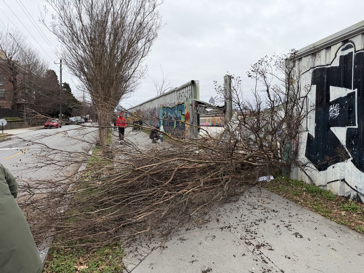 Neill Davis tweet media