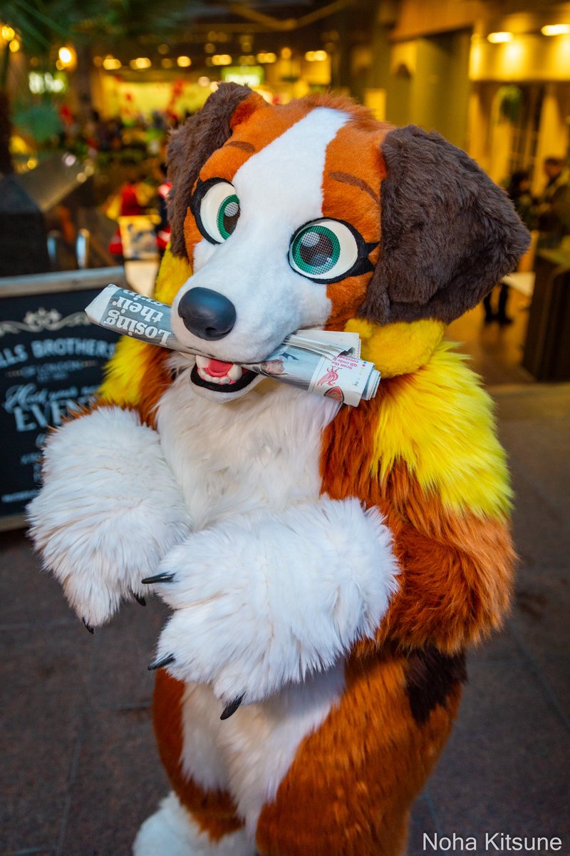 🐶 Lorrie missed #FursuitFriday yesterday. She was too busy fetching today’s paper 🐶

📸: <a href="/Noha_Kitsune/">Noha Kitsune (LF PhotoFox)</a> 
📍: <a href="/LondonFurs/">LondonFurs</a> 

#londonfurs #furryfandom