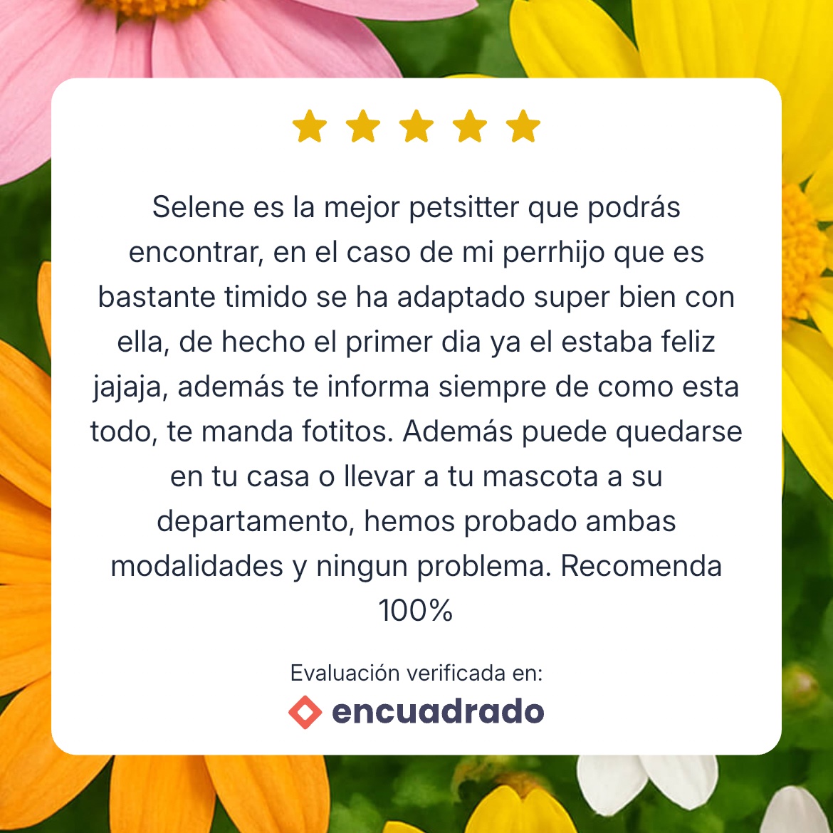 No tienen idea de lo conmovida que estoy con los mensajitos. 😭😭😭😭😭😭😭😭😭😭😭😭😭😭😭😭😭😭😭😭