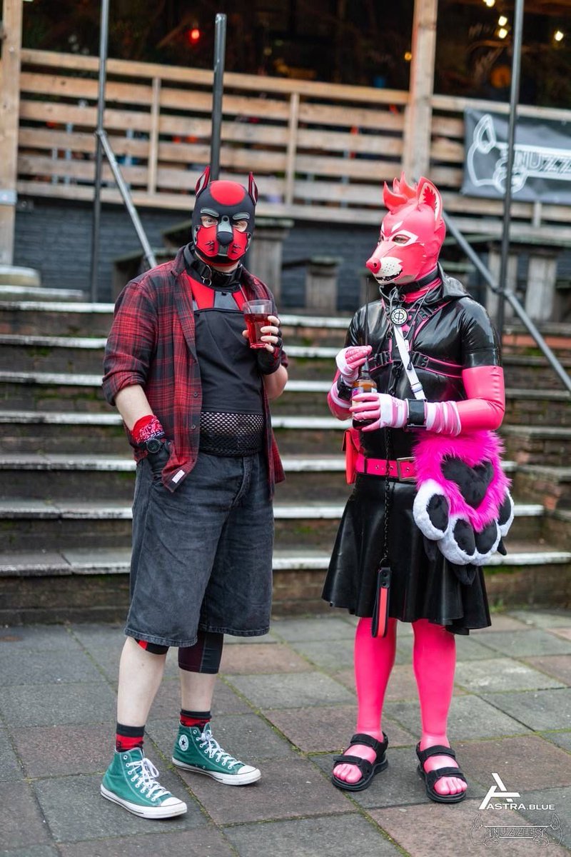 Just a casual after work drink down the local. Nothing out of the ordinary here, just two dogs discussing the latest pee scents on the local lamp posts…!