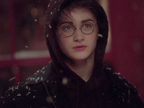 Luz Malik tweet media