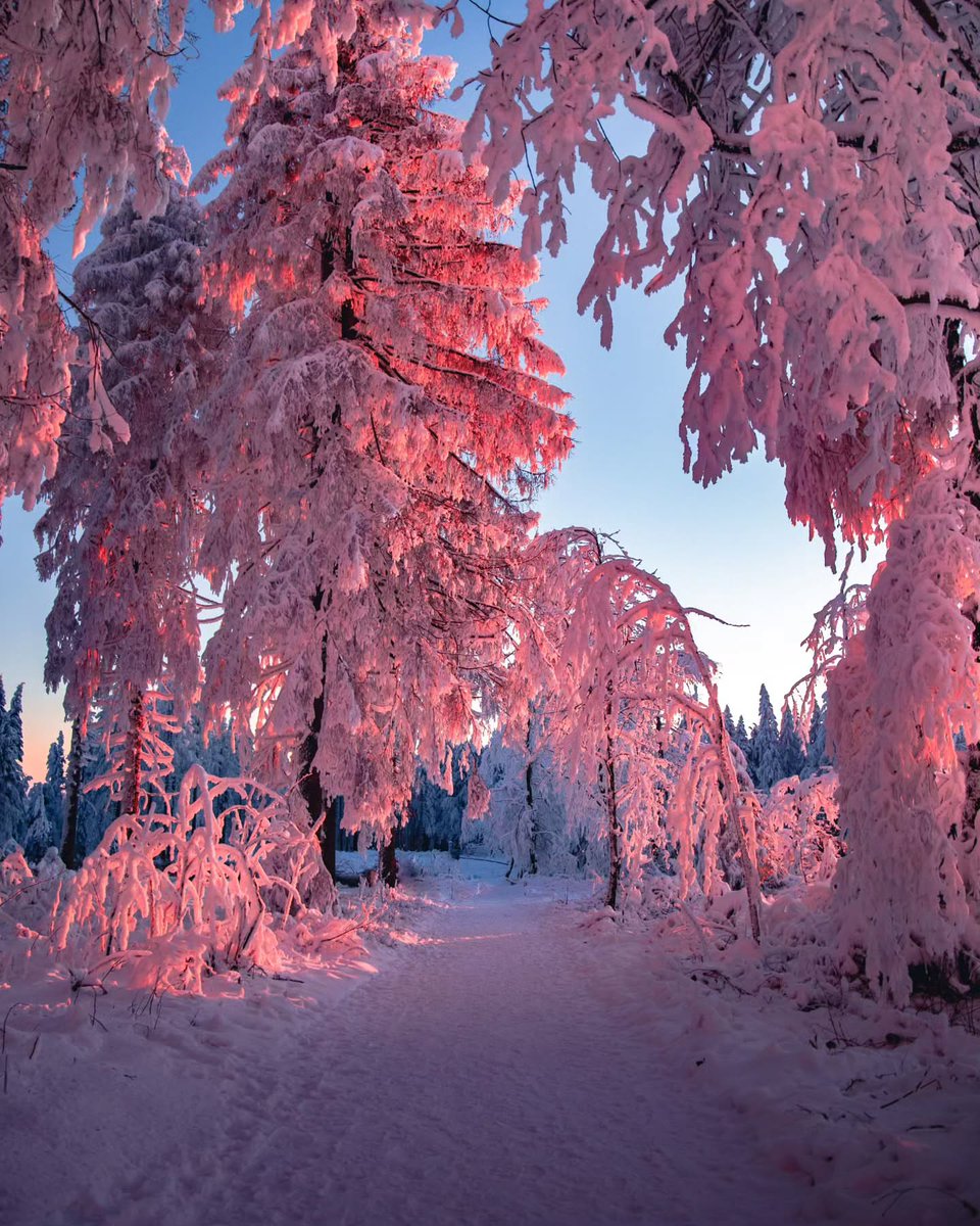 World Click (@worldclick56) on Twitter photo 