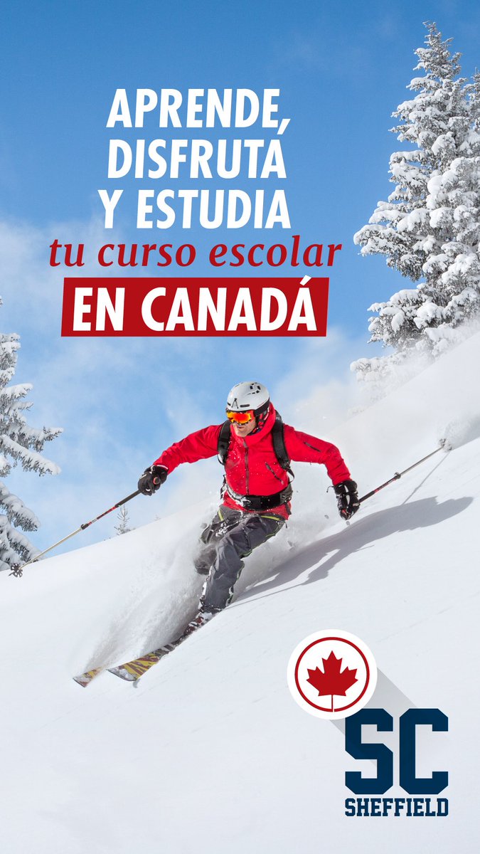 Sheffield (Idiomas) tweet media