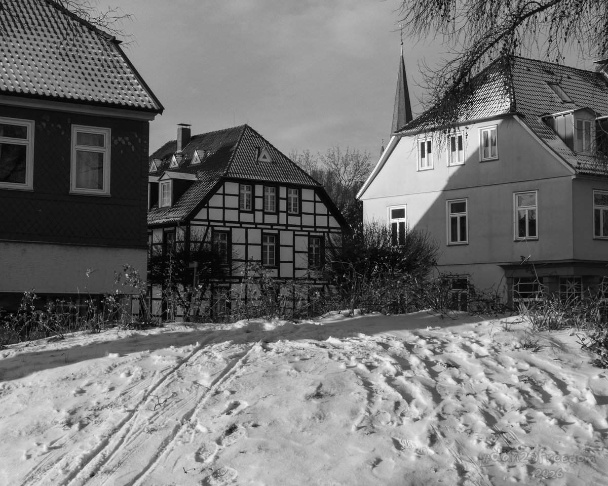 Dan 23 Freedom tweet media