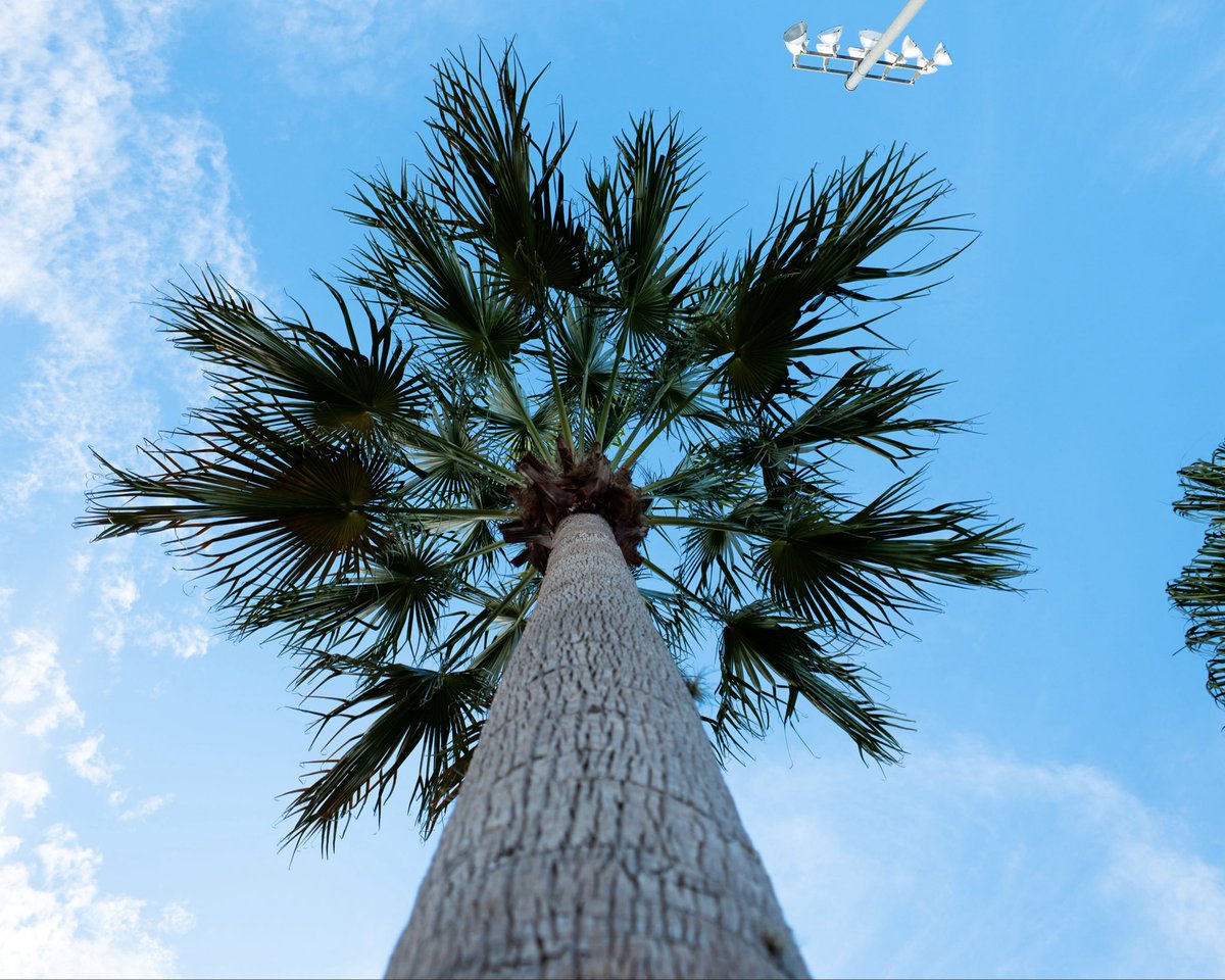 Florida Gators tweet media