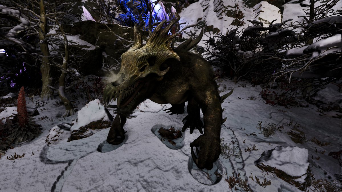 シェン tweet media