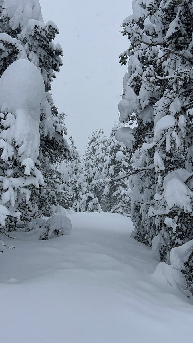 P4Estacions's tweet photo. Així d'espectacular està Tuixent - La Vansa, la Lapònia catalana! 👏❄️

📽 @Marc_algarra 

#Projecte4Estacions 
https://t.co/qUnvU4zpoF