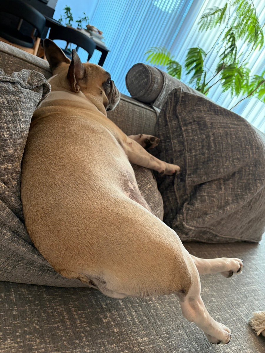 kinakoページ KINAKO