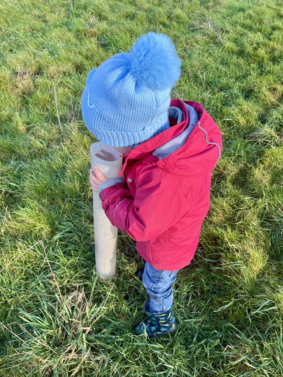 TreeClubWood tweet media