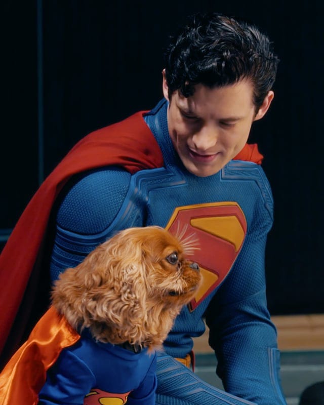 dailyplanetbr_'s tweet image. #JustiçaPorOrelha

Sei que não é o foco do perfil, mas é importante nos mobilizarmos diante da situação, Orelha era um doguinho de rua, criado pelos moradores da praia de Brava em Florianópolis. 

O cachorro faleceu depois de ser brutalmente espancado por um grupo de adolescentes…