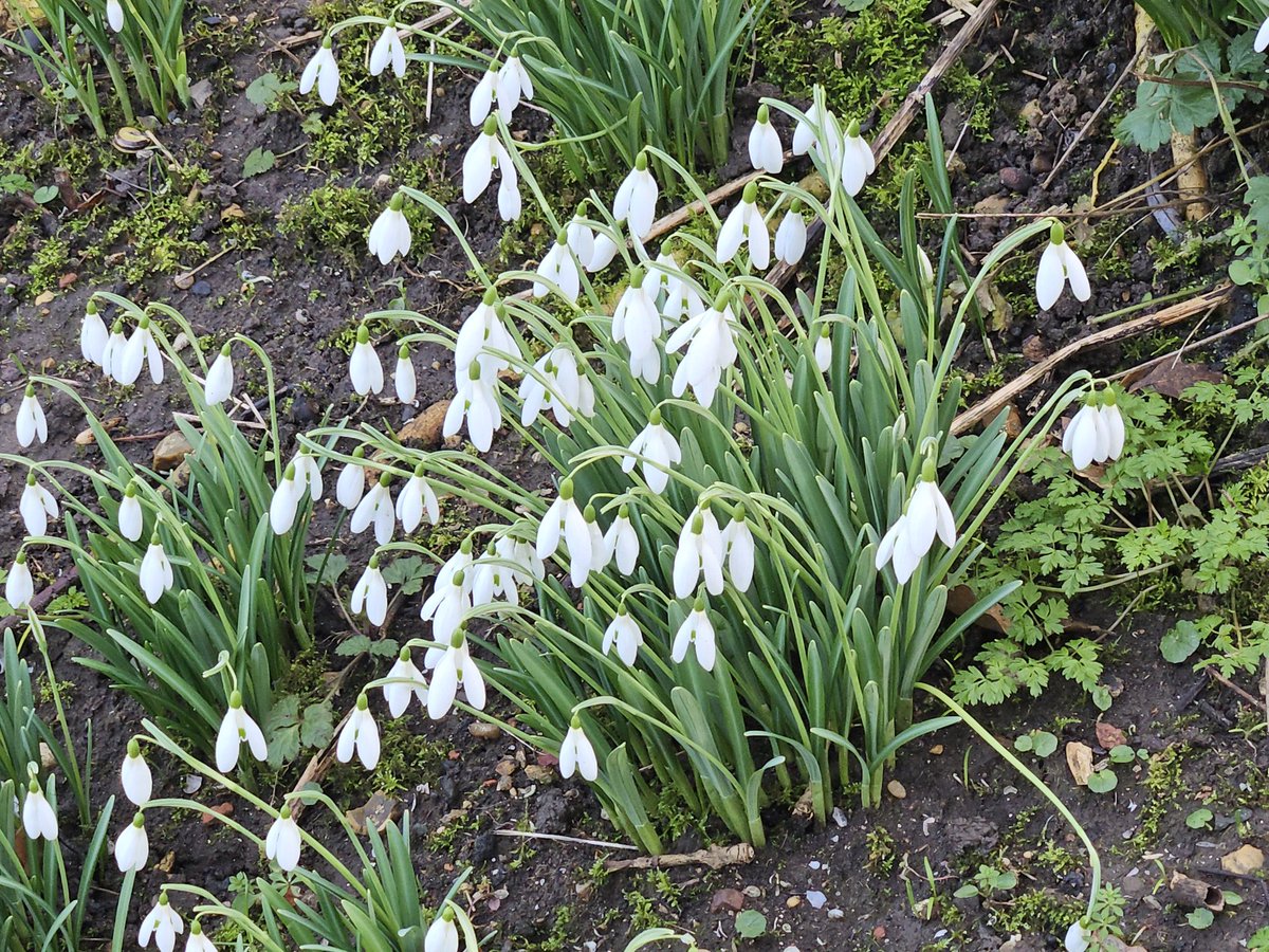 Donald Lyven tweet media