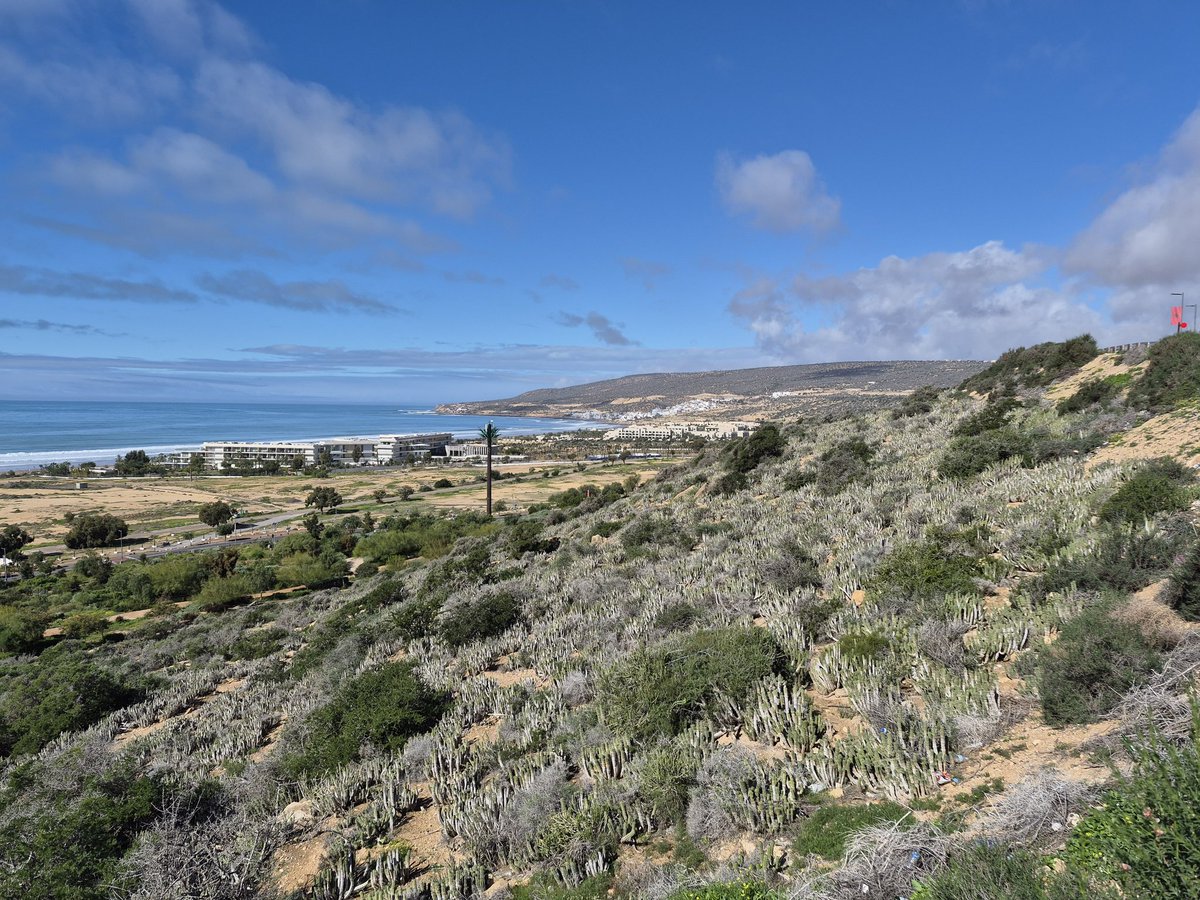 Last night in Morocco for <a href="/NicolaNicholso6/">Nicola Nicholson</a> and I. Been good week, great hotel, food and service. Weather wee bit mixed but nice to get a bit of winter sun. Woolly hat ready for return to Edinburgh 🏖😎🇲🇦🛩❄️🏴󠁧󠁢󠁳󠁣󠁴󠁿