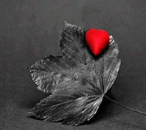 #ياغُلام
إذهب حيث يرتاح قلبك
حيث ترغب أنت 
بأن
 تشعر بالأمان والاطمئنان
لا تأخذ إتجاه مجبراً عليه
گُن
 جزء من شيء يعجبك أنت
و إن 
گُنت فيه وحدك 
#تأملها