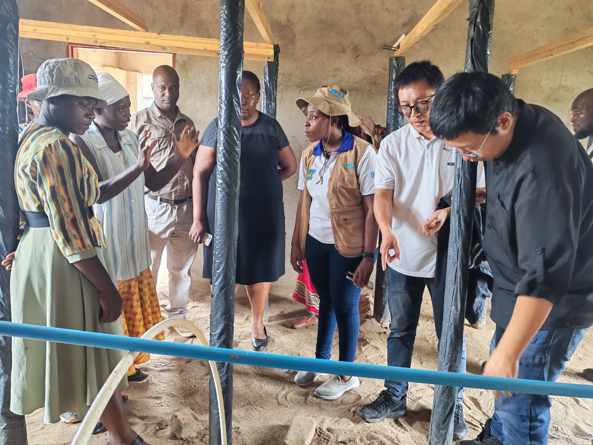 CHINA-AID JUNCAO TECHNOLOGY PROJECT IN ZIMBABWE tweet media
