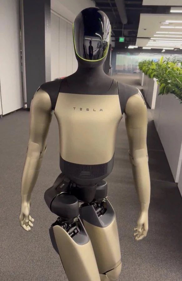 Optimus hallway walk